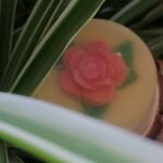 ROMANA Moisturizing Natural Soap
